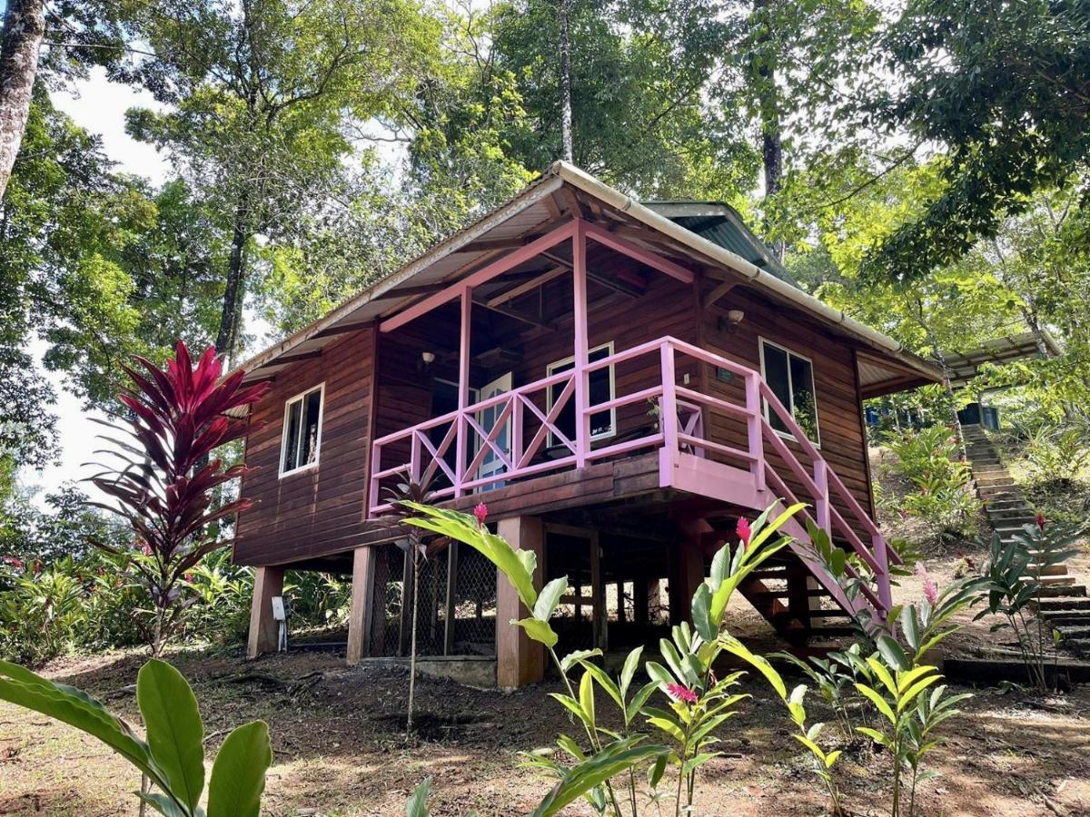 Akwaba Lodge The Gap Ngoại thất bức ảnh