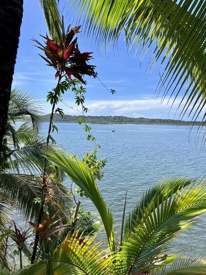 Akwaba Lodge The Gap Ngoại thất bức ảnh