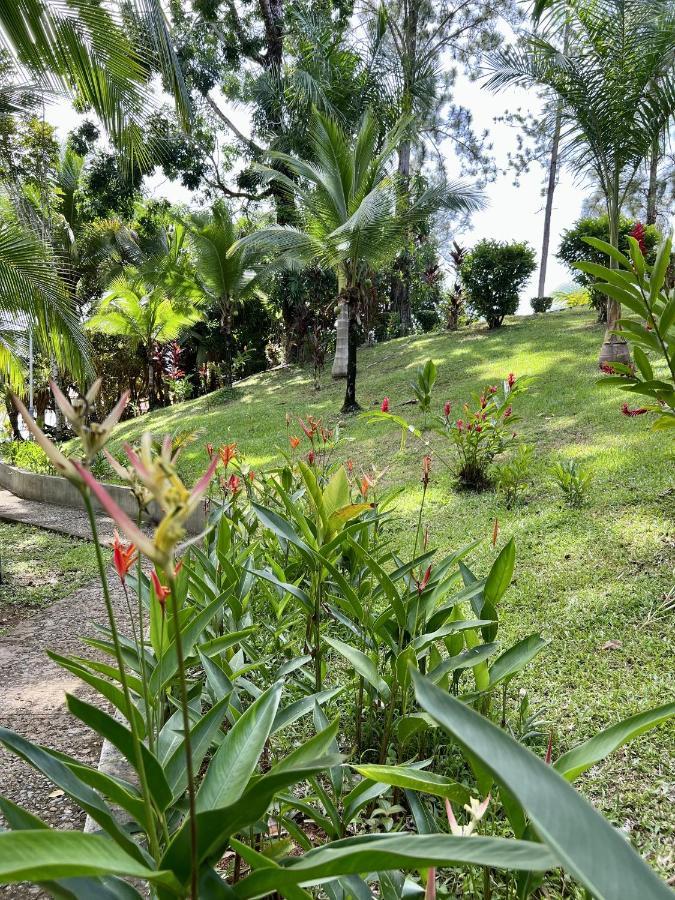 Akwaba Lodge The Gap Ngoại thất bức ảnh
