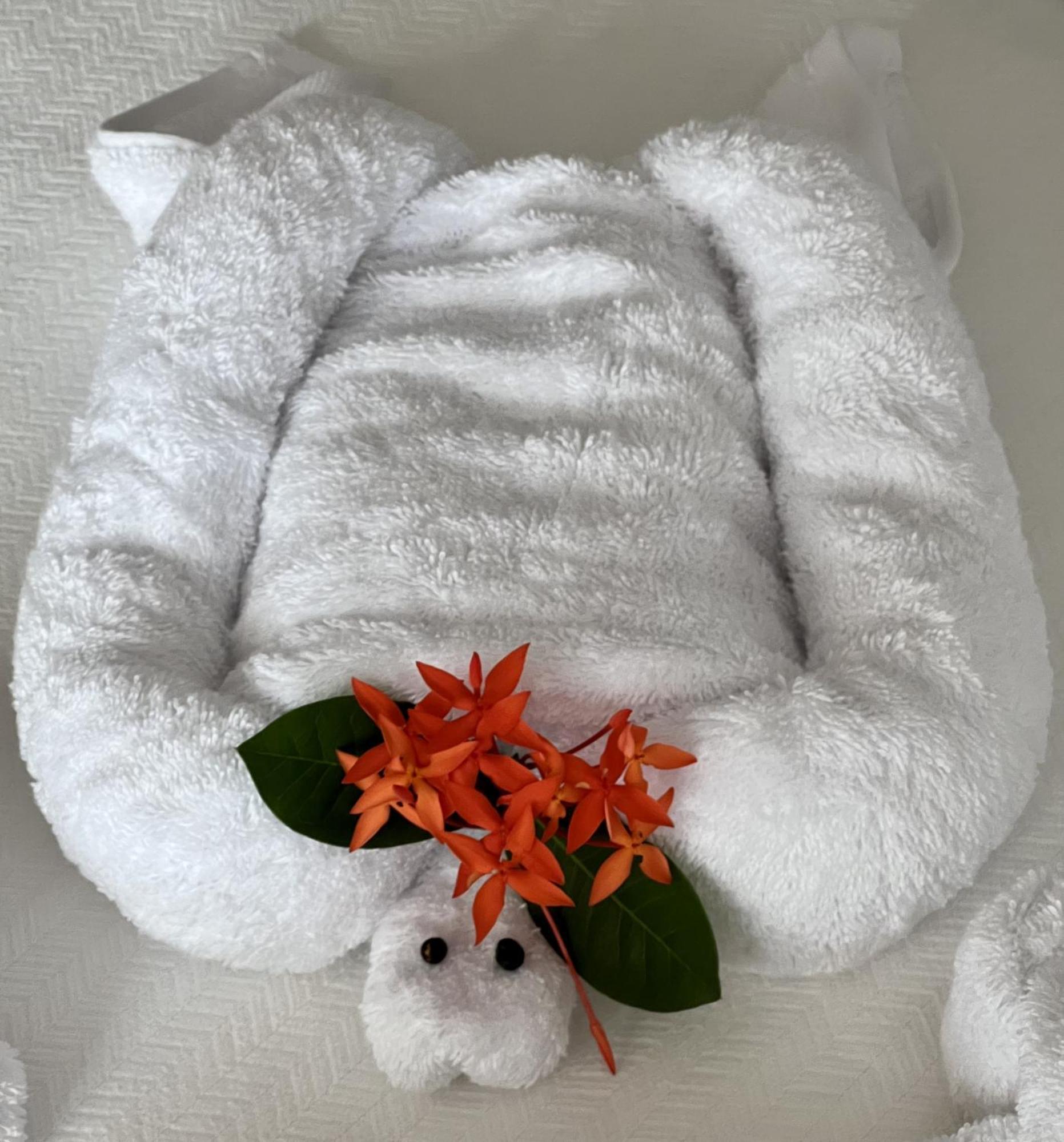 Akwaba Lodge The Gap Ngoại thất bức ảnh